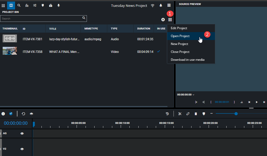 Project options in the project bin grid