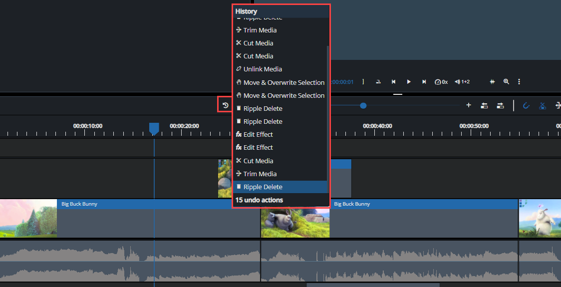 Viewing the undo redo action history.