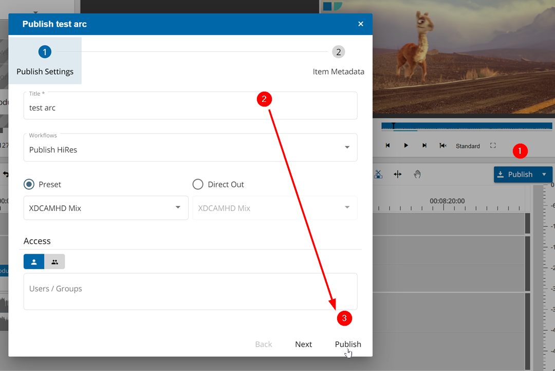 Publish settings window