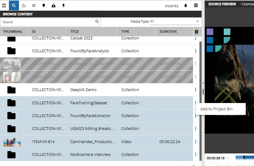 Example of multiselected items