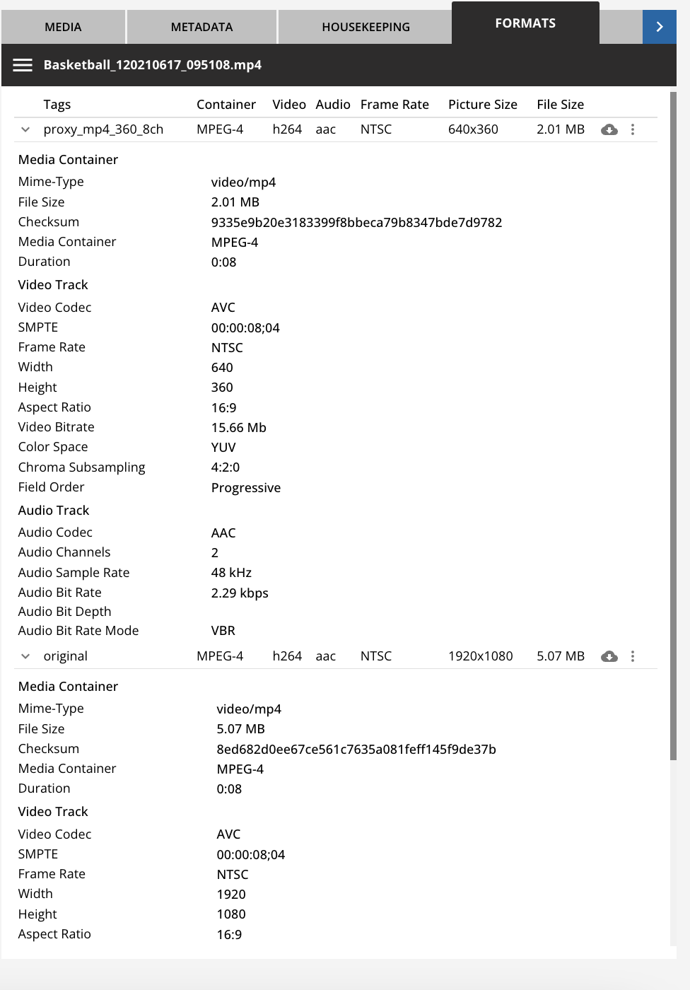 Formats tab in the Details View