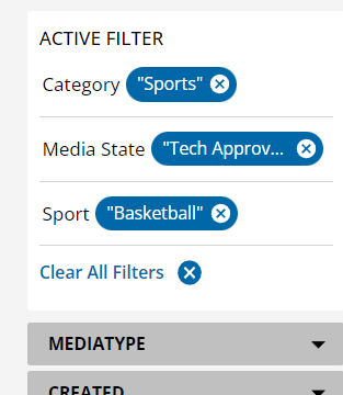Indicated active filters