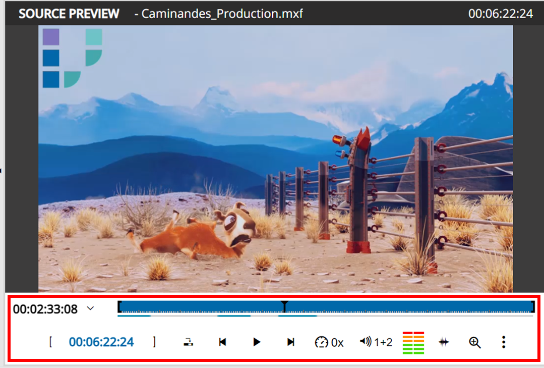 Source player options