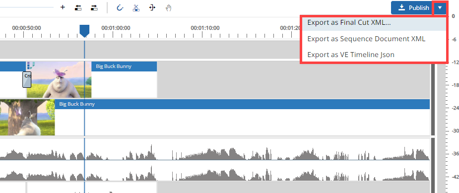 Choose from different publish options