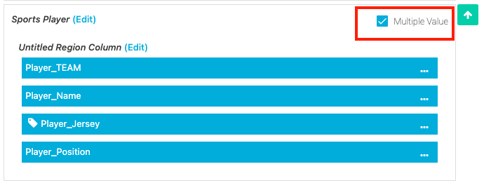 Specify whether the region is meant for compound metadata
