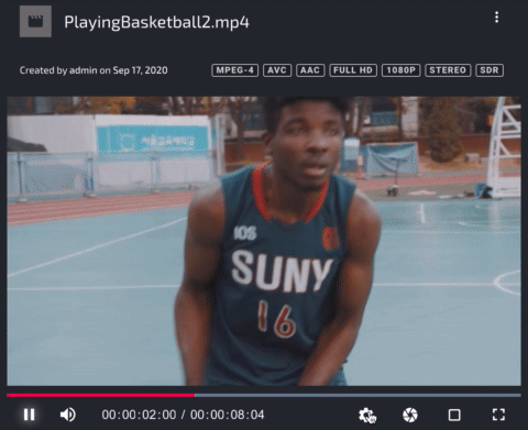 SwitchSource.mov.gif