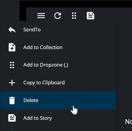 Delete option